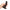 CALEXOTICS - DILDO BOUNDLESS 12 CM COMPATIBILE CON IMBRACATURA