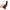 CALEXOTICS - DILDO BOUNDLESS SMOOTH 15,25 CM COMPATIBILE CON IMBRACATURA