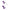 B SWISH - BFIT CLASSICO VIOLA