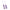 B SWISH - BFIT CLASSICO VIOLA