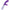 CLASSIX - VIBRATORE CONIGLIO PUNTO G IN SILICONE VIOLA