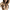 https://dreamlove.gesio.be/productos/imagenes/img_171062_d4f05c173bffab00de0921113b3e0f21_1.png