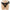 PRETTY LOVE - MARION HARNESS SLIP UNIVERSALE CON DILDO VIBRANTE 19 CM MULATTO
