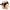 PRETTY LOVE - MARION HARNESS SLIP UNIVERSALE CON DILDO VIBRANTE 19 CM MULATTO