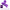 ROMANCE - HARDEN PURPLE MANICA ESTESA