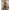 SUBBLIME - 951757 BODYSTOCKING NERO CON INTAGLIO A FORMA DI CUORE TAGLIA UNICA