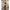 SUBBLIME - 951757 BODYSTOCKING NERO CON INTAGLIO A FORMA DI CUORE TAGLIA UNICA