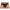 BURN - 005 JOCK BLACK LENCER XL