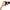 KIIROO - SENTI REAGAN FOXX MASTURBATORE COLLEZIONE KIIROO STARS
