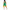 LEG AVENUE - COSTUME DA CHEERLEADER VERDE S/M