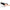 SERIE FETISH FANTASY - IMBRACATURA CAVA 19 CM NATURALE