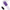 INTENSO - GUNTER DOPPIO DILDO VIBRANTE 40 CM VIOLA TELECOMANDO