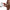 PRETTY LOVE - YAIRON GUAINA DOPPIA PER PENE CON ESTENSIONE 4 CM MULATTO