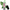 SECRETPLAY - LUCIDALABBRA VIBRANT KISS MENTA