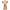 ATTICO - BODYSTOCKING DI ALTA QUALITÀ XL